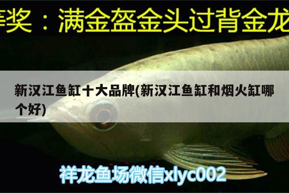 新漢江魚缸十大品牌(新漢江魚缸和煙火缸哪個好)