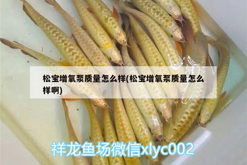 松寶增氧泵質(zhì)量怎么樣(松寶增氧泵質(zhì)量怎么樣啊) 觀賞魚魚苗