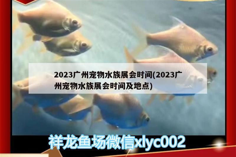 2023廣州寵物水族展會(huì)時(shí)間(2023廣州寵物水族展會(huì)時(shí)間及地點(diǎn)) 水族展會(huì)