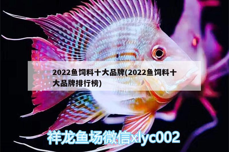 2022魚飼料十大品牌(2022魚飼料十大品牌排行榜) 短身紅龍魚