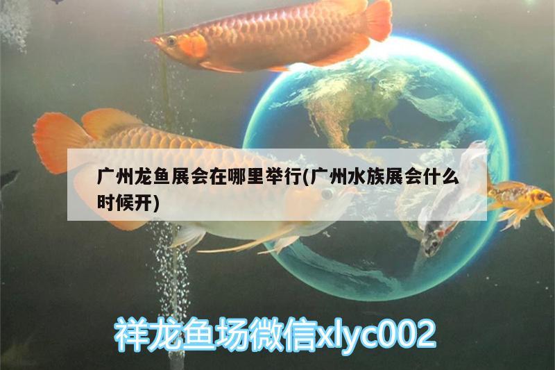 廣州龍魚(yú)展會(huì)在哪里舉行(廣州水族展會(huì)什么時(shí)候開(kāi)) 水族展會(huì)