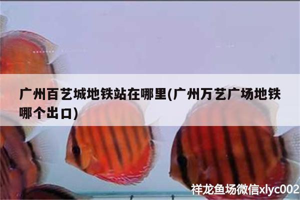 廣州百藝城地鐵站在哪里(廣州萬藝廣場地鐵哪個(gè)出口) 水族維護(hù)服務(wù)（上門）