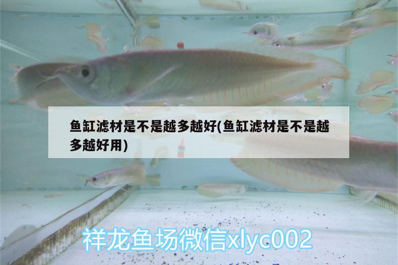 魚缸濾材是不是越多越好(魚缸濾材是不是越多越好用)