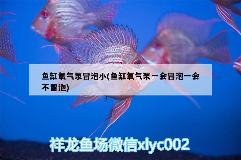 魚缸氧氣泵冒泡小(魚缸氧氣泵一會冒泡一會不冒泡)