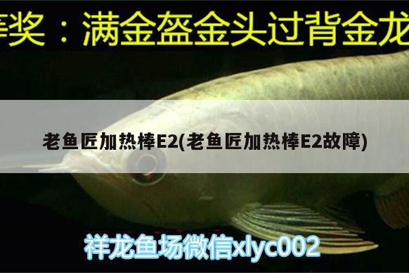 老魚匠加熱棒E2(老魚匠加熱棒E2故障) 老魚匠