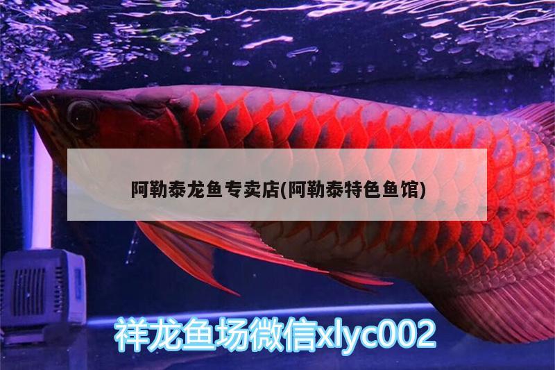 阿勒泰龍魚專賣店(阿勒泰特色魚館) 刀魚魚