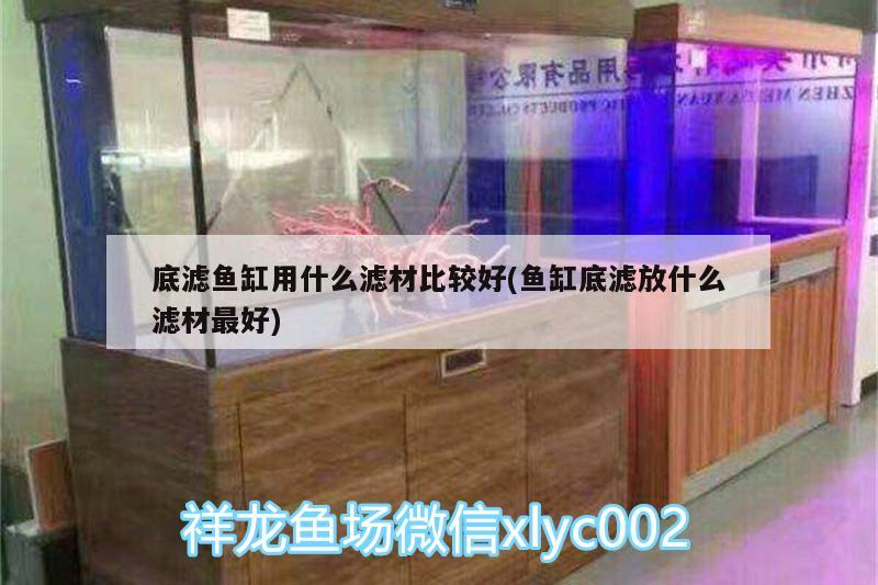 底濾魚缸用什么濾材比較好(魚缸底濾放什么濾材最好) 廣州龍魚批發(fā)市場