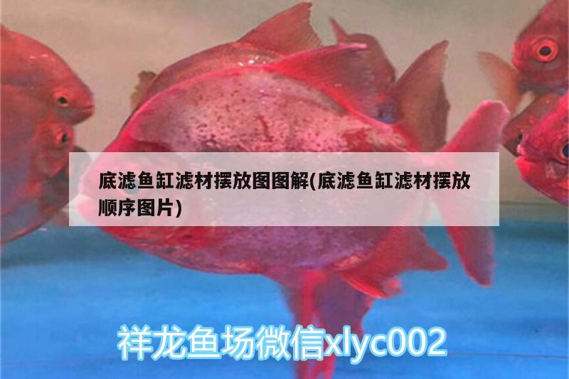 底濾魚缸濾材擺放圖圖解(底濾魚缸濾材擺放順序圖片)