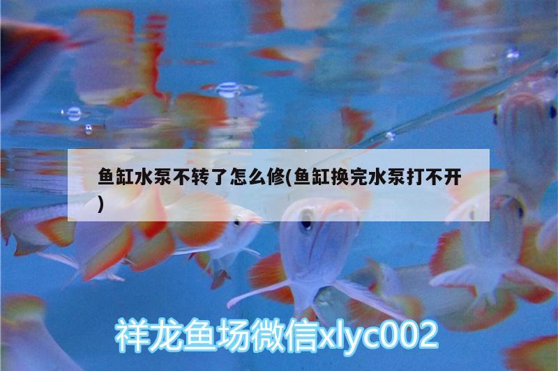 魚缸水泵不轉(zhuǎn)了怎么修(魚缸換完水泵打不開) 魚缸水泵