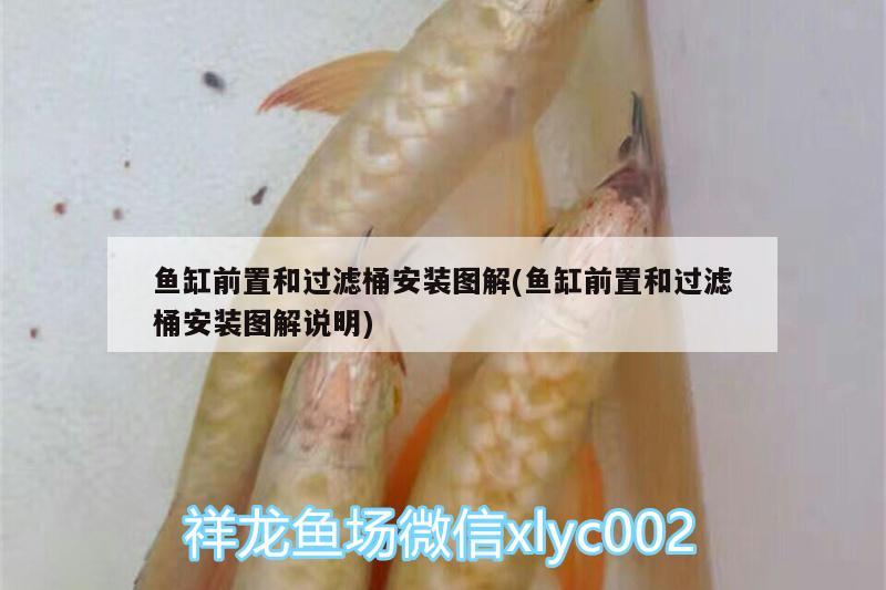 魚(yú)缸前置和過(guò)濾桶安裝圖解(魚(yú)缸前置和過(guò)濾桶安裝圖解說(shuō)明) 三間鼠魚(yú)