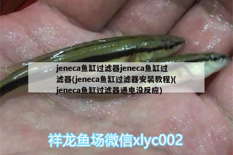 jeneca魚缸過濾器jeneca魚缸過濾器(jeneca魚缸過濾器安裝教程)(jeneca魚缸過濾器通電沒反應(yīng)) 招財(cái)戰(zhàn)船魚