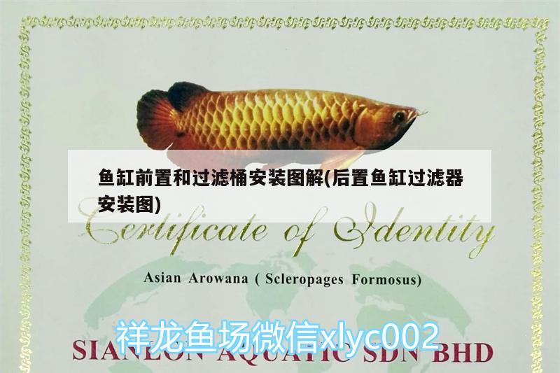 魚缸前置和過濾桶安裝圖解(后置魚缸過濾器安裝圖)