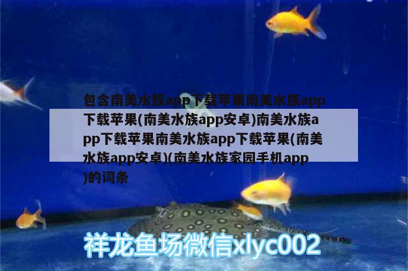 包含南美水族app下載蘋果南美水族app下載蘋果(南美水族app安卓)南美水族app下載蘋果南美水族app下載蘋果(南美水族app安卓)(南美水族家園手機app)的詞條