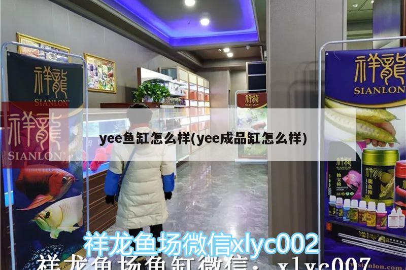 yee魚缸怎么樣(yee成品缸怎么樣)