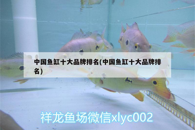 中國魚缸十大品牌排名(中國魚缸十大品牌排名) 野彩魚 第2張