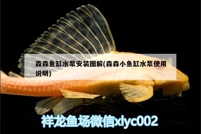 森森魚缸水泵安裝圖解(森森小魚缸水泵使用說(shuō)明) 魚缸水泵