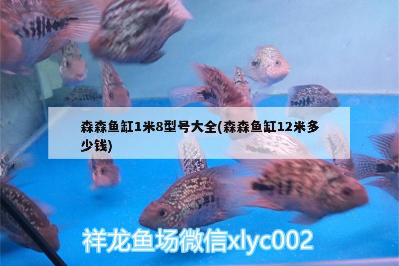 森森魚缸1米8型號大全(森森魚缸12米多少錢)