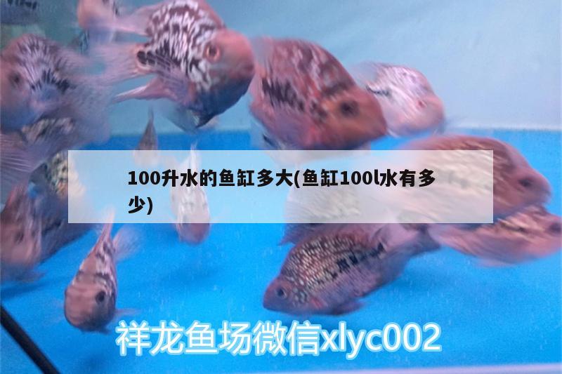 100升水的魚缸多大(魚缸100l水有多少)