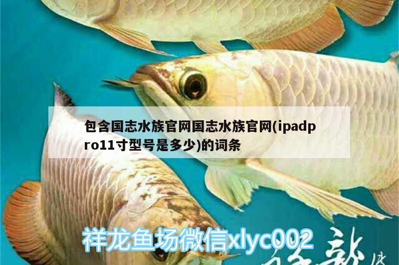 包含國志水族官網(wǎng)國志水族官網(wǎng)(ipadpro11寸型號是多少)的詞條