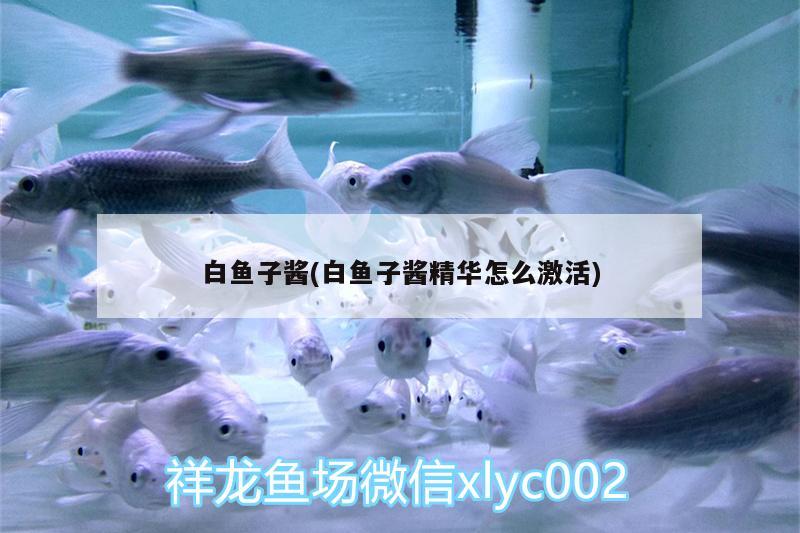 白魚子醬(白魚子醬精華怎么激活)