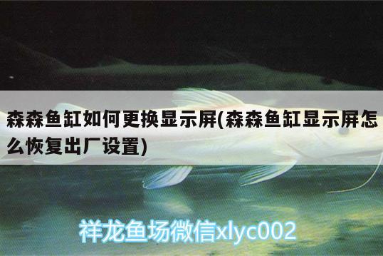 森森魚(yú)缸如何更換顯示屏(森森魚(yú)缸顯示屏怎么恢復(fù)出廠設(shè)置) 財(cái)神鸚鵡魚(yú)