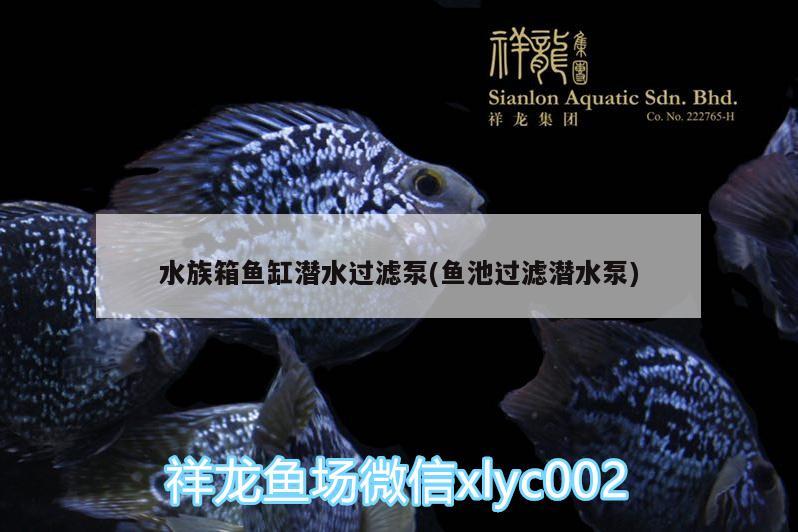 水族箱魚(yú)缸潛水過(guò)濾泵(魚(yú)池過(guò)濾潛水泵) 魚(yú)缸/水族箱