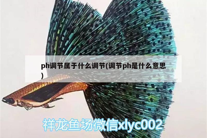 ph調節(jié)屬于什么調節(jié)(調節(jié)ph是什么意思)