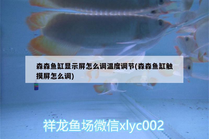 森森魚缸顯示屏怎么調(diào)溫度調(diào)節(jié)(森森魚缸觸摸屏怎么調(diào)) 過背金龍魚