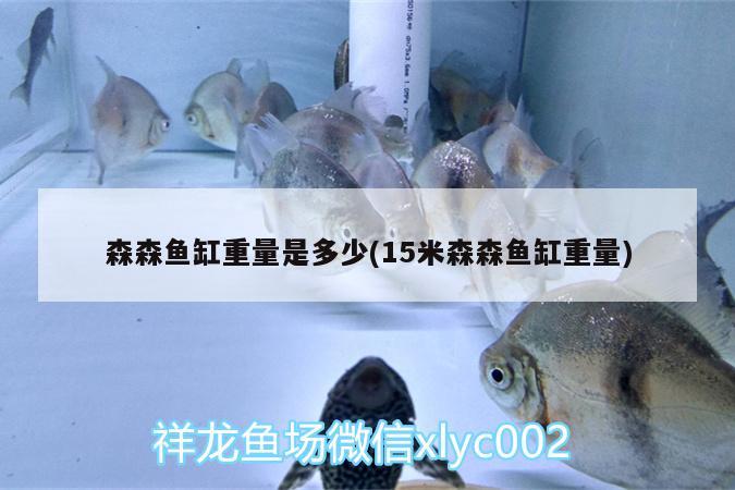 森森魚缸重量是多少(15米森森魚缸重量)