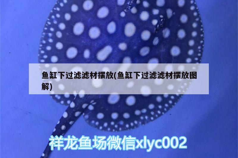 魚缸下過濾濾材擺放(魚缸下過濾濾材擺放圖解)