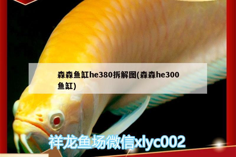 森森魚缸he380拆解圖(森森h(huán)e300魚缸) 南美異型魚