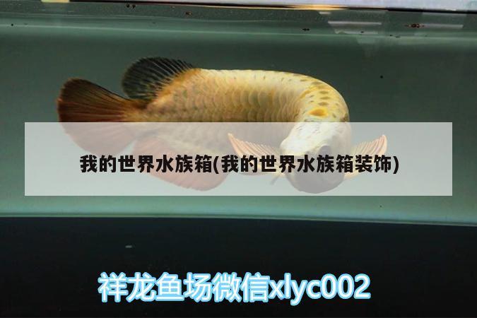 我的世界水族箱(我的世界水族箱裝飾) 魚缸/水族箱