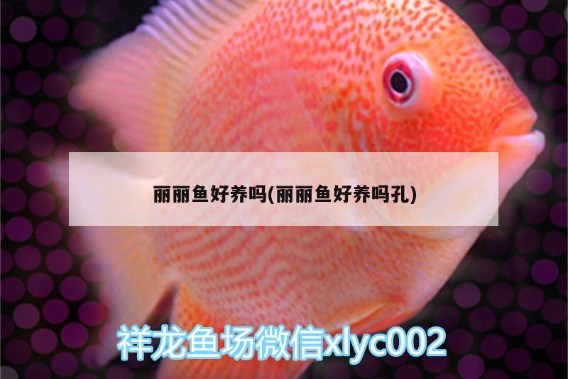 麗麗魚好養(yǎng)嗎(麗麗魚好養(yǎng)嗎孔)