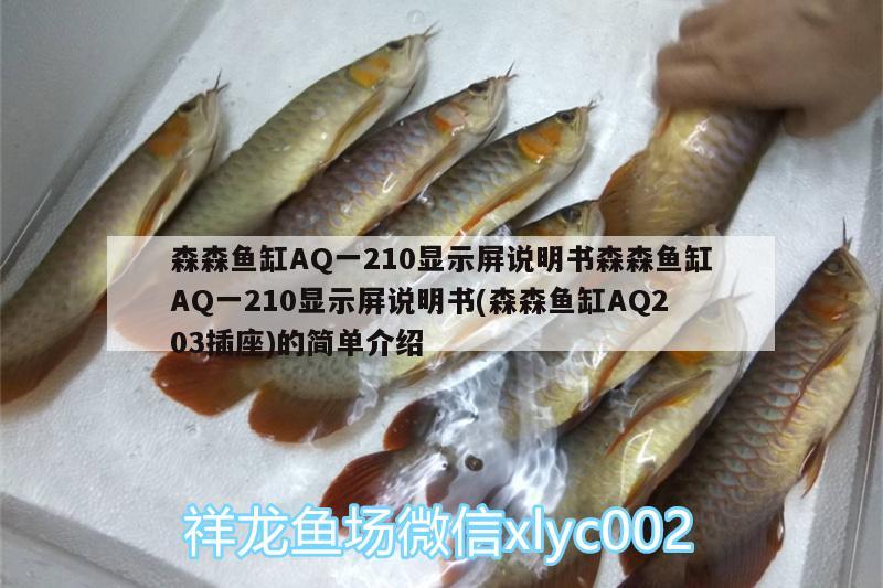 森森魚缸AQ一210顯示屏說明書森森魚缸AQ一210顯示屏說明書(森森魚缸AQ203插座)的簡單介紹 斑馬狗頭魚