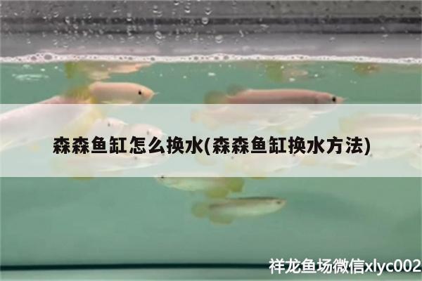 森森魚缸怎么換水(森森魚缸換水方法) 野生埃及神仙魚