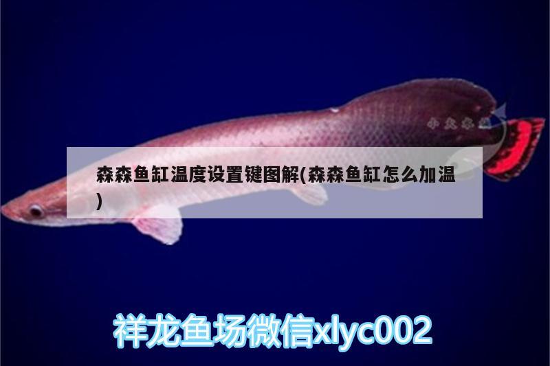 森森魚缸溫度設置鍵圖解(森森魚缸怎么加溫)