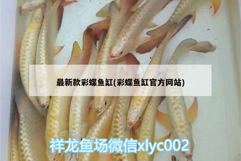 最新款彩蝶魚缸(彩蝶魚缸官方網(wǎng)站) 魟魚百科