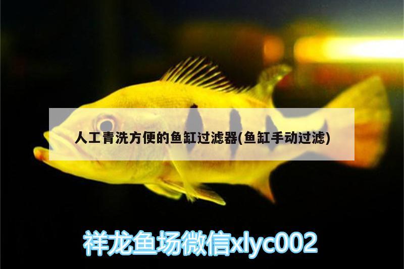 人工青洗方便的魚缸過濾器(魚缸手動過濾)