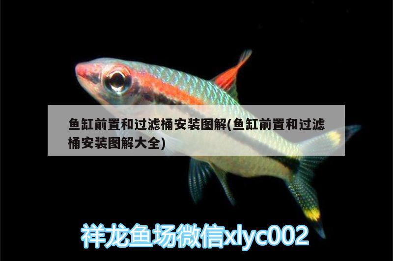 魚缸前置和過濾桶安裝圖解(魚缸前置和過濾桶安裝圖解大全) 魚缸水質(zhì)穩(wěn)定劑