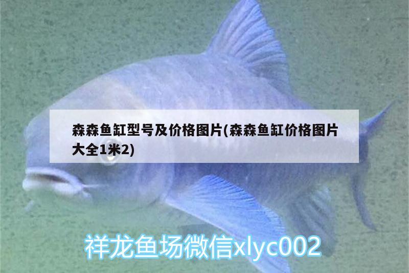 森森魚缸型號及價格圖片(森森魚缸價格圖片大全1米2)