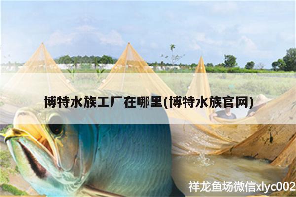 博特水族工廠在哪里(博特水族官網(wǎng)) 博特水族