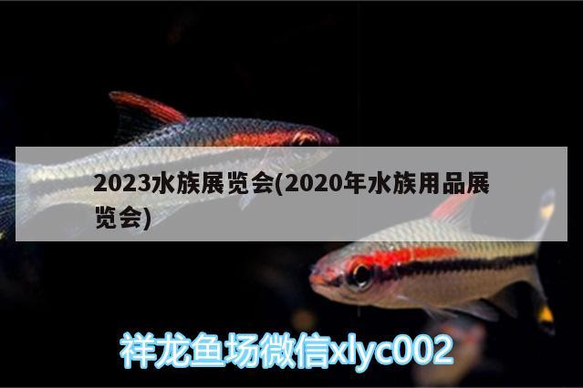 2023水族展覽會(huì)(2020年水族用品展覽會(huì))