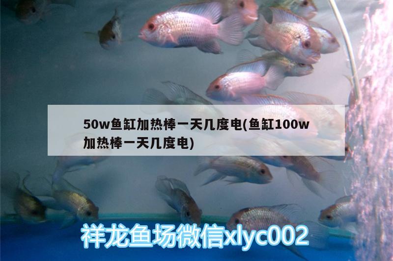 50w魚缸加熱棒一天幾度電(魚缸100w加熱棒一天幾度電)