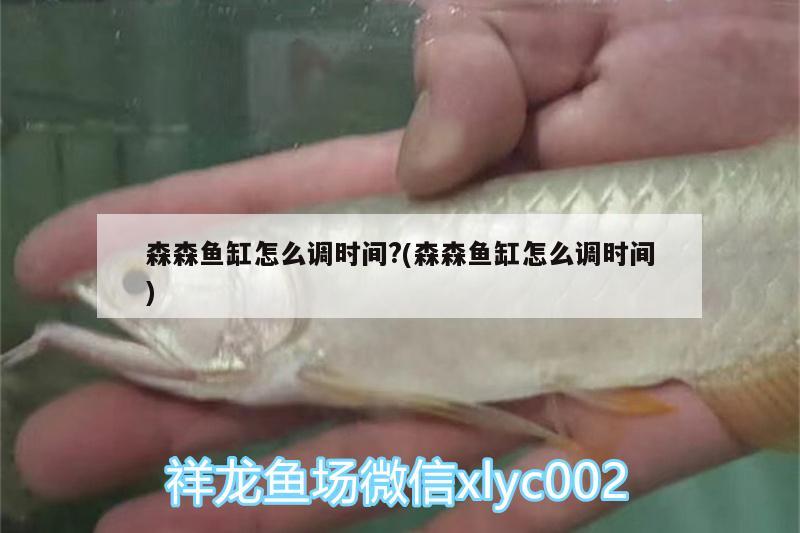 森森魚缸怎么調(diào)時間?(森森魚缸怎么調(diào)時間) 白化巴西龜（白巴）