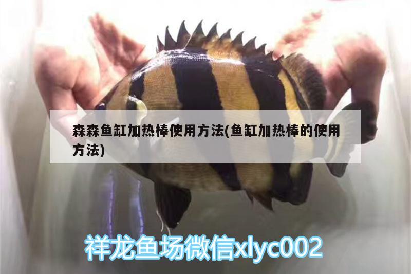 森森魚缸加熱棒使用方法(魚缸加熱棒的使用方法)