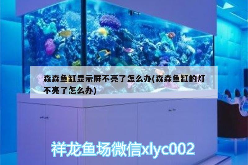 森森魚缸顯示屏不亮了怎么辦(森森魚缸的燈不亮了怎么辦)