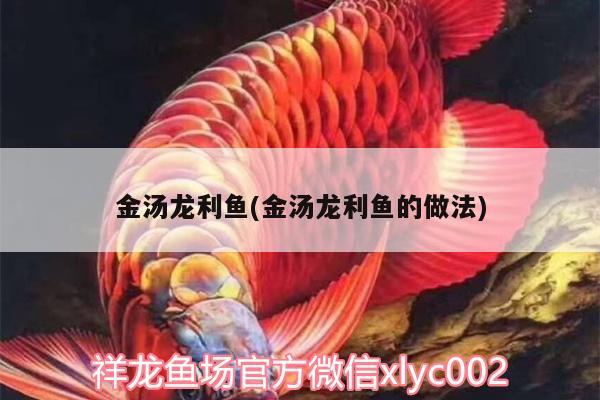 金湯龍利魚(金湯龍利魚的做法) 金老虎魚