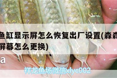 森森魚缸顯示屏怎么恢復(fù)出廠設(shè)置(森森魚缸顯示屏幕怎么更換)