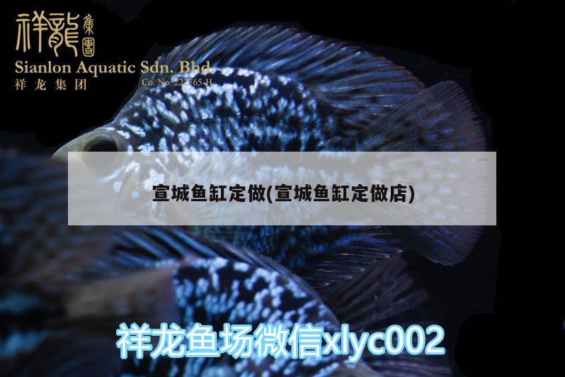 宣城魚缸定做(宣城魚缸定做店) 廣州觀賞魚批發(fā)市場