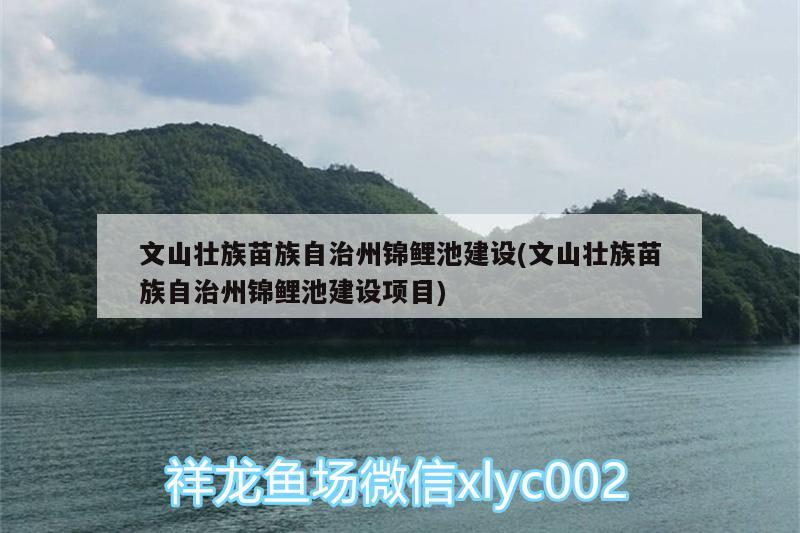 文山壯族苗族自治州錦鯉池建設(shè)(文山壯族苗族自治州錦鯉池建設(shè)項目)